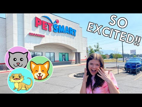 Buying My First Ever Pet!