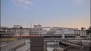 神戶・港灣樂園 live