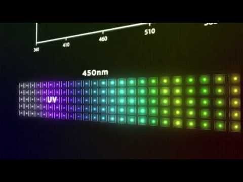 Philips 223V5LHSB Monitor 54,6 cm (21,5 Zoll) video preview