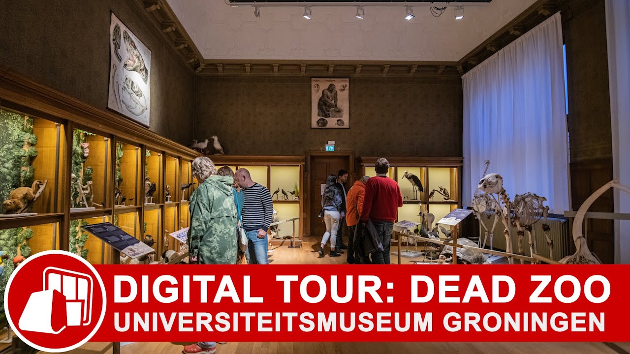 Digitale tour door de tentoonstelling Dead Zoo