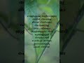 Omane Aadujeevitham The Goat Life Short Lyrics Whatsapp Status 2024