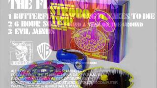 Sean Lennon Names Flaming Lips&#39; Fans in 6 Hour Song - &quot;Found a Star on The Ground&quot; Hour 2 Sample