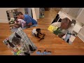 About Our Night With Our 3 Monkeys And Baby Romeo From ZWFMIAMI