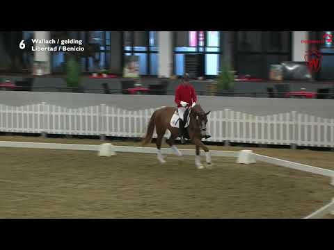 6 Laurent v. Libertad - Benicio_Trainingsvideo