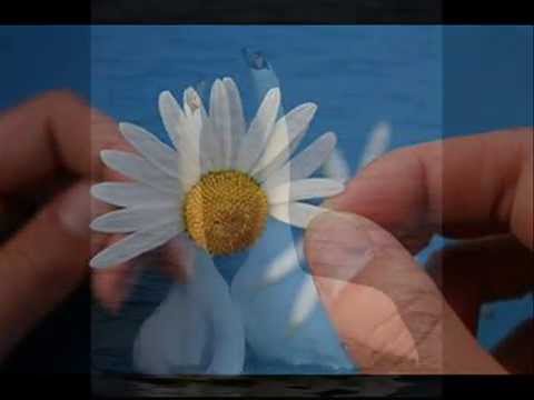 Lorenz Maierhofer, IN DER SCHEN FRÜHJAHRSZEIT / Schön ist die Frühlingszeit