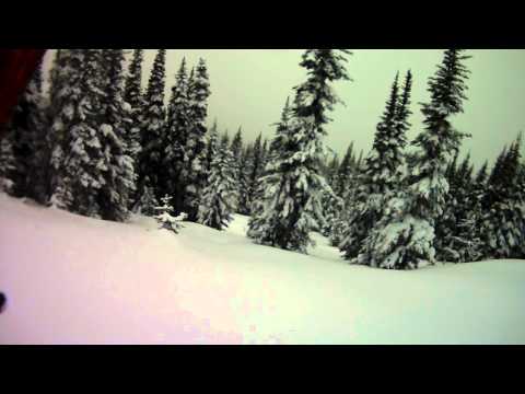 B Jan 23 12 upper Panorama trees