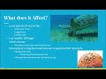 Coastal Outreach