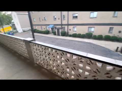 304 - Elizabeth-Boden Street - Video 2 of 2