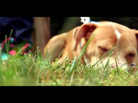 Life (Promo)- Huss Baby ft. Lul Rock