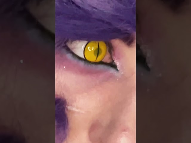 Vídeo relacionado con Alice im Wunderland Alicia en el País de las Maravillas Cheshire Cat Mujer Bufanda negro/lila 100% poliéster