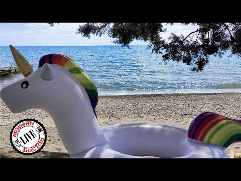 Абхазия 2019. Отель Риф. Отель на берегу море. Риф в Пицунде.