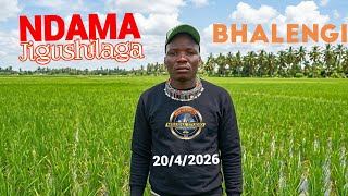 Download lagu NDAMA JIGUSHILAGA _ UJUMBE  BHASANII  BHATUBHU = MBASHA STUDIO 2026 mp3