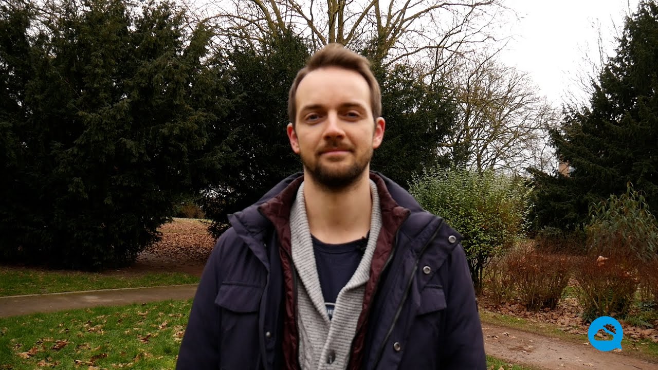 youtube video id=612QnwWdEYM