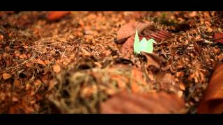 Najwa Latif-Carta Hati official music video