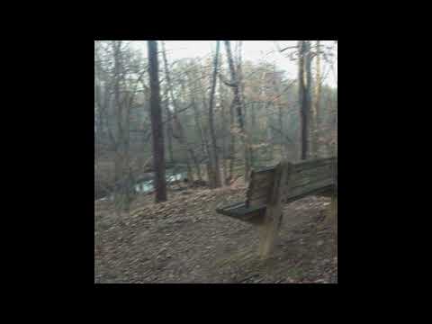 [free] ambient midwest emo + tiny moving parts type beat - "long live" (wisssery)