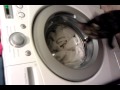 Cat And Washing Machine