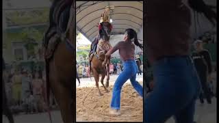 Download lagu kuda renggong silat ke cewek lincah sekali mp3