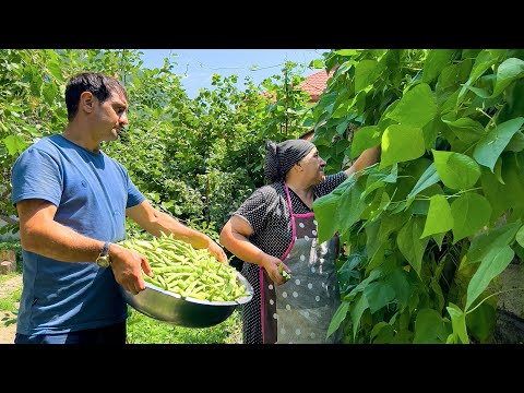 Delicious Bean Pilaf, Turkish Börek, BBQ Eggplant & Irresistible Sweet Treats!