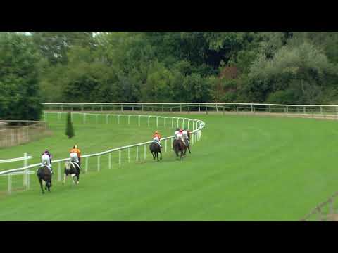 Dielsdorf/27.09.2020/Preis der Firma Intool AG - Poneys D