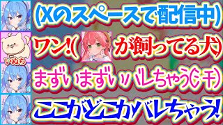 【※スペース切り抜き】Xのスペースで雑談中、いぬちの鳴き声が配信に載ってしまい『みこちの家にいること』がバレて焦り散らかすすいちゃんw【ホロライブ切り抜き/星街すいせい/さくらみこ/miComet】