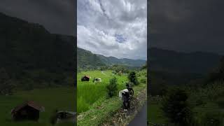 Download lagu Balegede naringgul Cianjur Selatan #balegede #naringgul #cianjurselatan mp3
