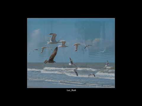 Open video on YouTube