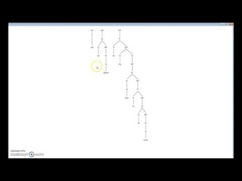 X-bar Theory Introduction