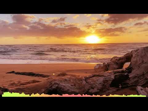 Enrique Iglesias x Pitbull x IAmChino - Tamo Bien  ( Club Revolution Bootleg )