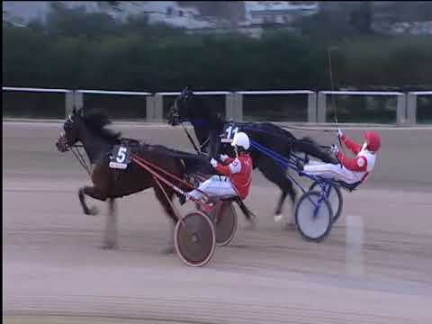 Trotto 09/12/2018 - 2ª corsa