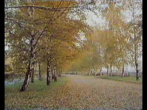 Video Placeholder
