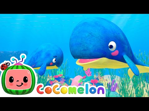Mom and Baby Whale Lullaby | CoComelon | Sing Along | Nursery Rhymes and Songs for Kids