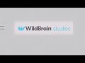 Netflix Dreamworks Animation Television WildBrain Studios 2021 Variant