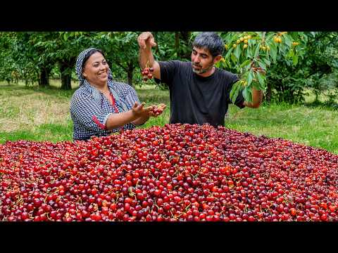 Unique Azerbaijani Cuisine: Qutab Stuffed with Fruits You’ve Never Tried!