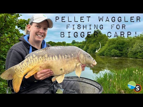 Pellet Waggler Fishing for Big Carp