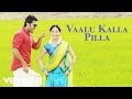 Courier Boy Kalyan Vaalu Kalla Pilla Song Nitiin Yami Gautam