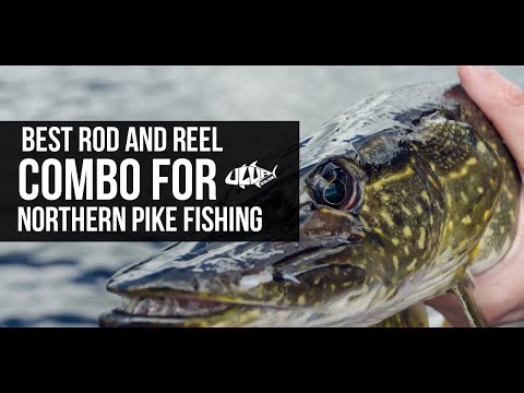 top 10 best rod and reel combo for northern pike fishing