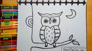 8700 Gambar Kolase Biji Bijian Burung Hantu Terbaik