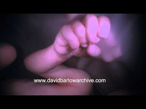 Interacting Twins 3; hands