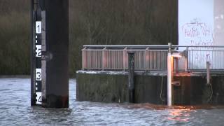 preview picture of video 'Sturm / Orkan XAVER - Hochwasser am Este-Sperrwerk - Elbe / Hamburg-Neuenfelde 06.12.2013'