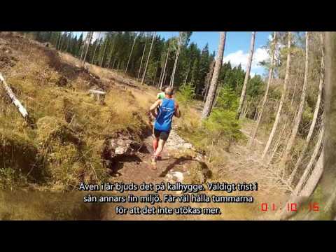 Dalenrundan 2016 - 6 km (Löparperspektiv, lång)