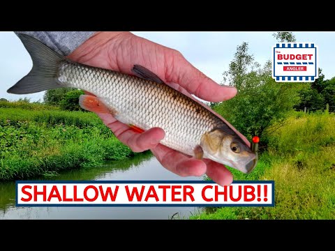 River Fishing For Chub on Ultra Light Lures