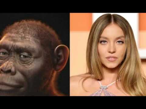 New Image Representation of Face of Lucy, Our Human Ancestor from 3 Million-ya vs Modern Female!