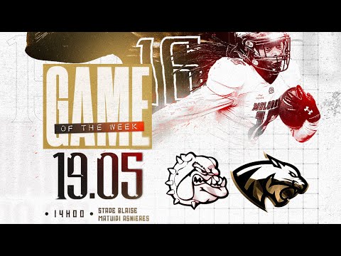 GOTW D1 Élite 2024 - W9 : MOLOSSES - COUGARS