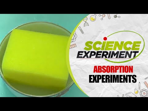 Science Experiment - 50 | Absorption Experiment | Chemistry Experiment