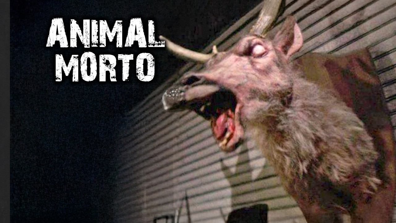 Se aparecer um ANIMAL MORTO na frente da sua casa, CORRA!