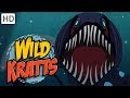 Wild Kratts Ocean Explorers Kids Videos