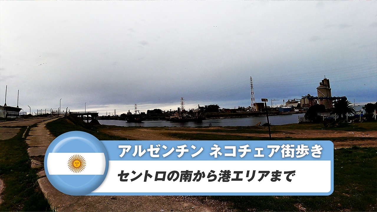 【アルゼンチン】ネコチェア③セントロの南から港エリアまで