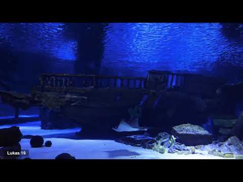 Lukas 19. Die Bibel.