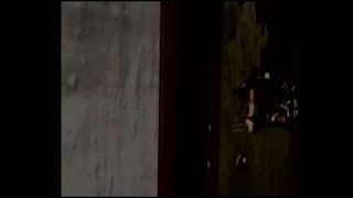 友人と話しながらゲーム「バイオハザード ディレクターズカット」［実況プレイ］part12