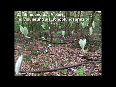 Video-Thumbnail von YouTube